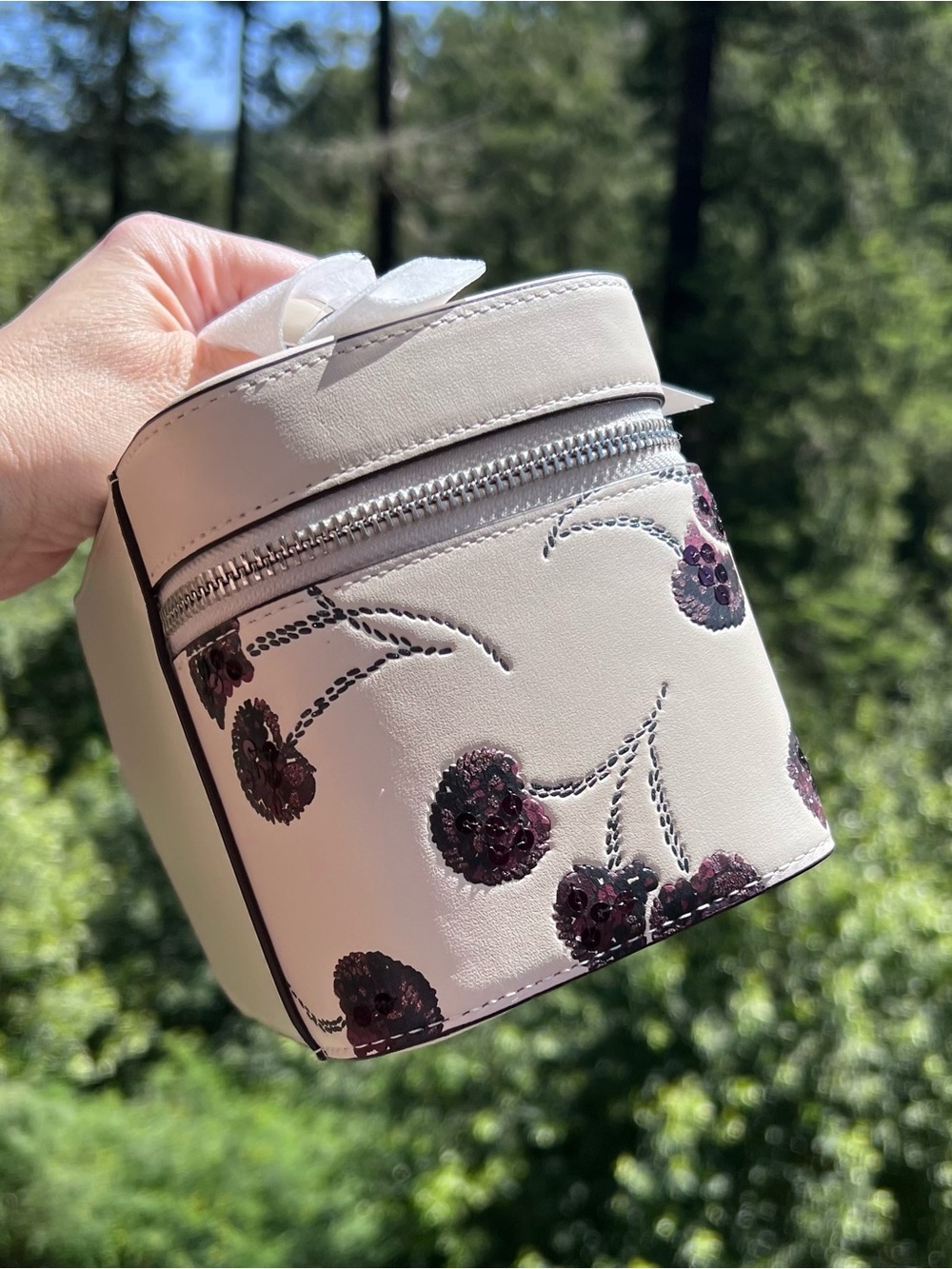 COACH Cosmetic & Make up Case w Cherry Print CDC13 AUTHENTIC New Coach Packaged - Picture 2 of 10